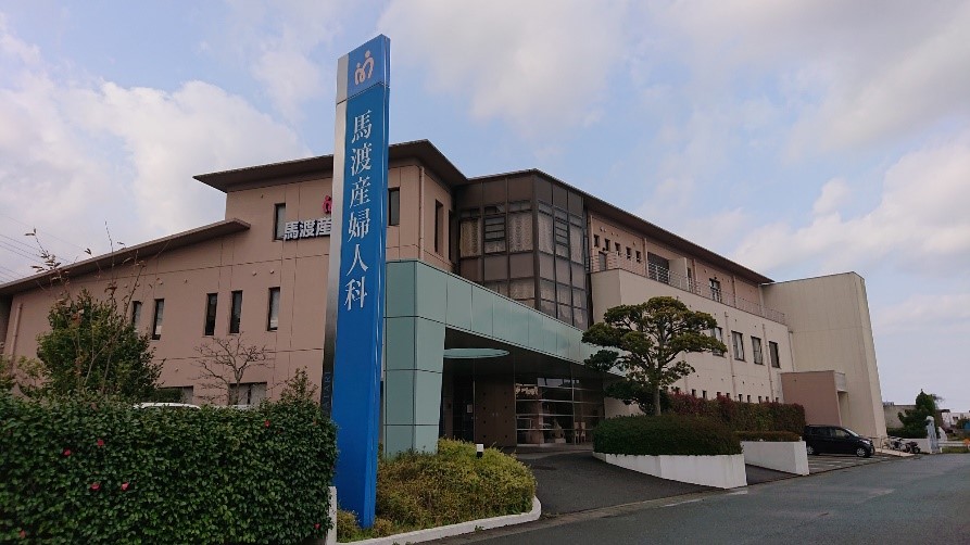の画像