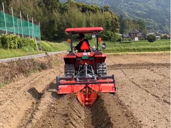 の画像